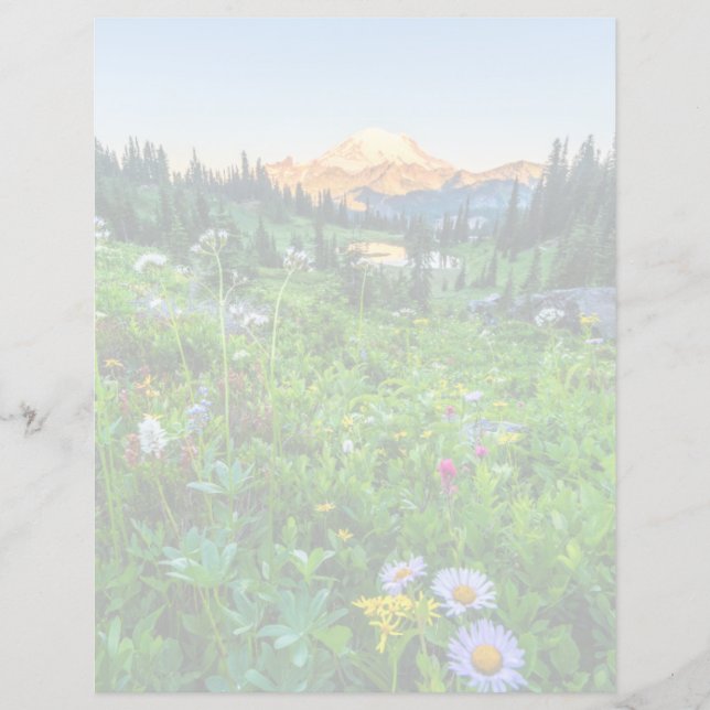 Flowers | Mount Rainier National Park (Front)