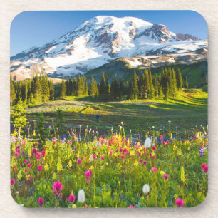 Flowers   Mt. Rainier Wildflowers Coaster