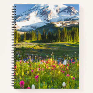 Flowers   Mt. Rainier Wildflowers Notebook