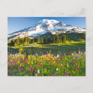 Flowers Mt. Rainier Wildflowers Postcard