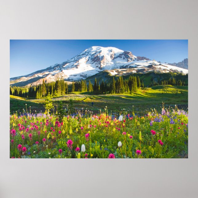 Flowers | Mt. Rainier Wildflowers Poster (Front)