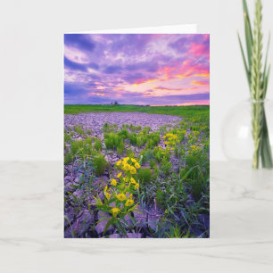 Flowers   North Dakota Red River Valley Card