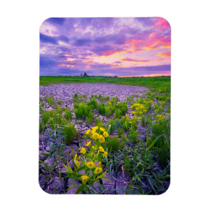 Flowers North Dakota Red River Valley Magnet