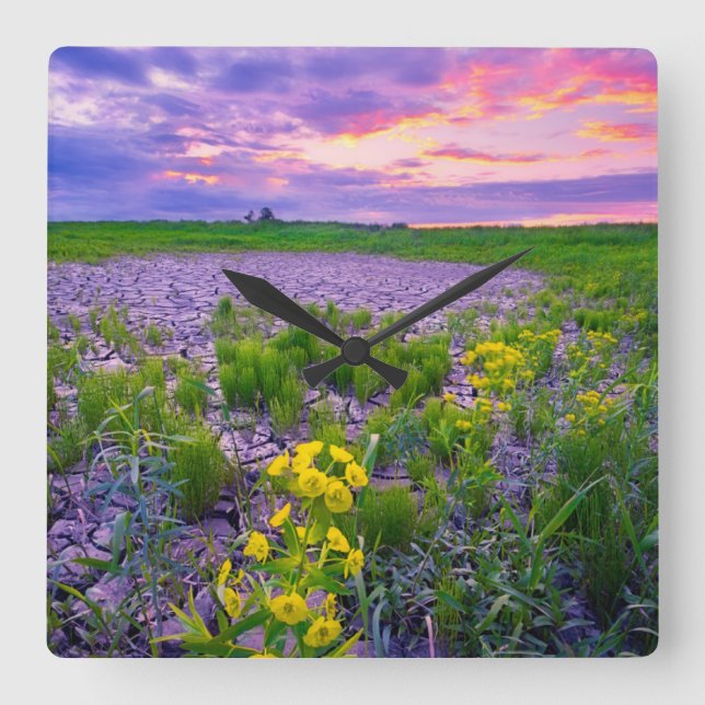 Flowers | North Dakota Red River Valley Square Wall Clock (Front)