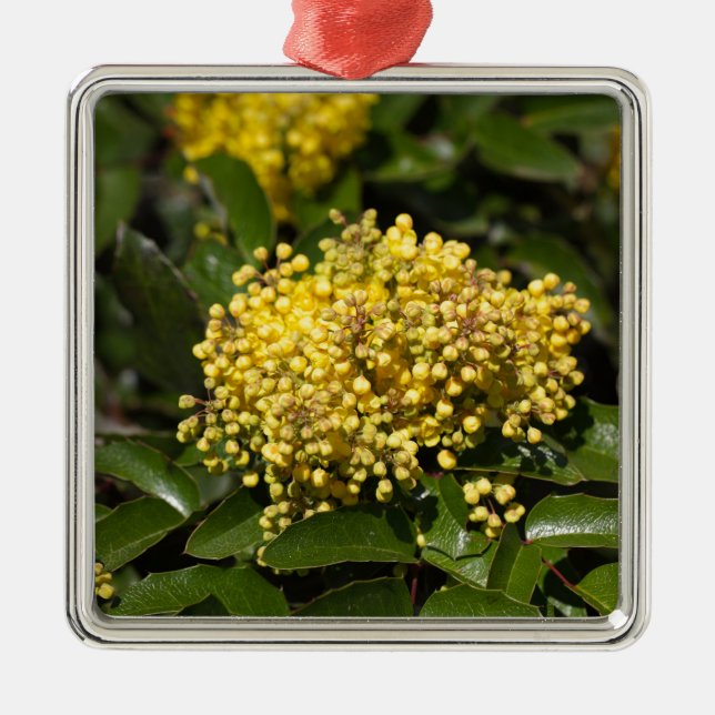 Flowers of a Oregon grape bush Metal Tree Decoration (Front)