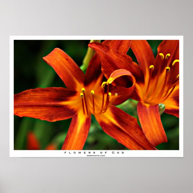 Flowers of God Poster (Front)