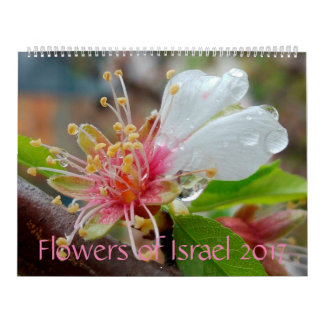 Flowers of Israel: 2017 Calendar