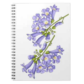 Flowers of Jacaranda Brazil Notebook