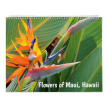 Flowers of Maui Hawaii