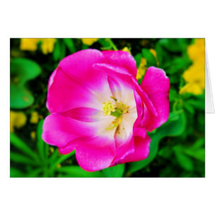 Flowers of St. James Park, London - Blank Card