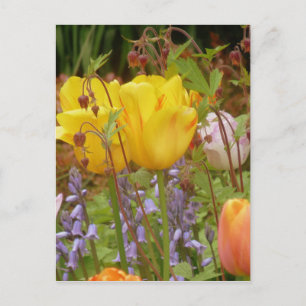 Flowers Of Tenderness Postcard