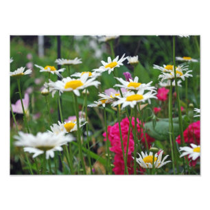 Flowers of the world photo print