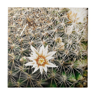 Flowers on a Cactus Tile