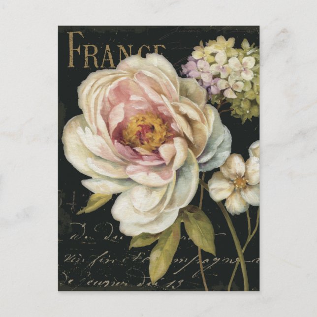 Flowers on Black Postcard (Front)