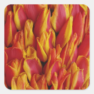 Flowers on float celebrating Queen's Day, a Square Sticker