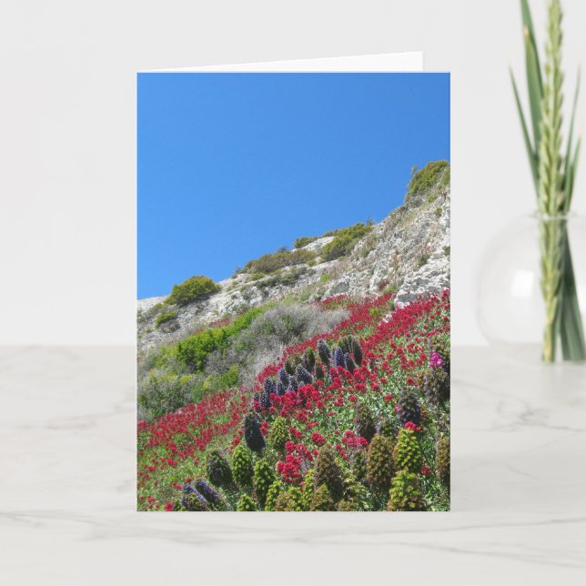 Flowers on Hill Greeting Card (Front)