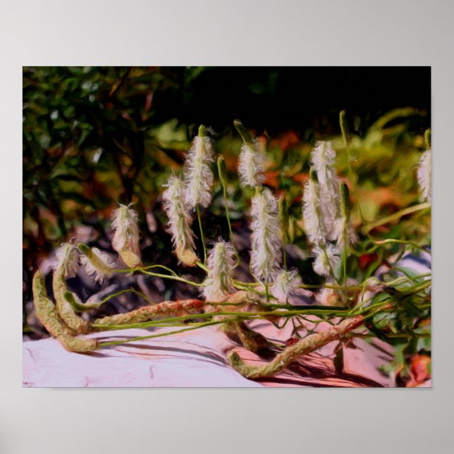 Flowers On Rock Oil Photo Painting Poster (Front)
