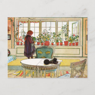 Flowers on the Windowsill by Carl Larsson Postcard