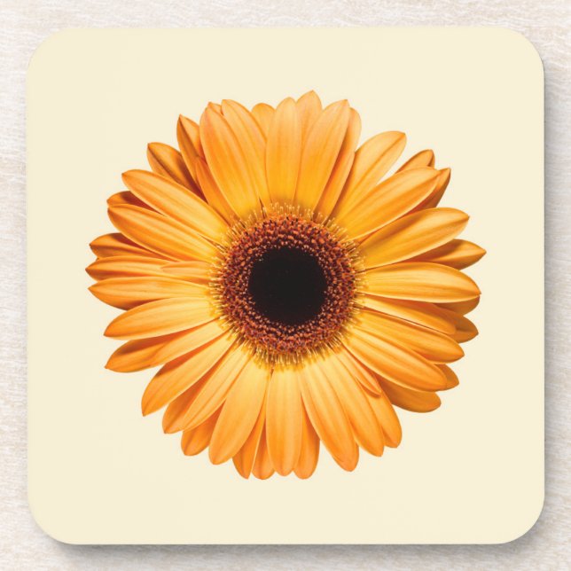 Flowers | Orange Gerbera Coaster (Front)