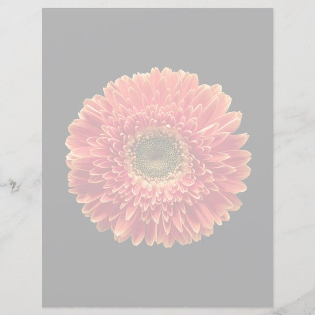 Flowers | Orange Gerbera Daisy (Front)