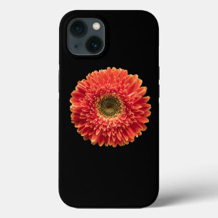 Flowers   Orange Gerbera Daisy iPhone 13 Case