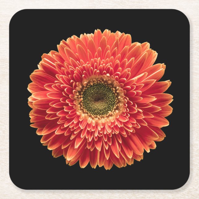 Flowers | Orange Gerbera Daisy Square Paper Coaster (Front)