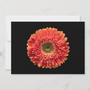 Flowers Orange Gerbera Daisy Thank You Card