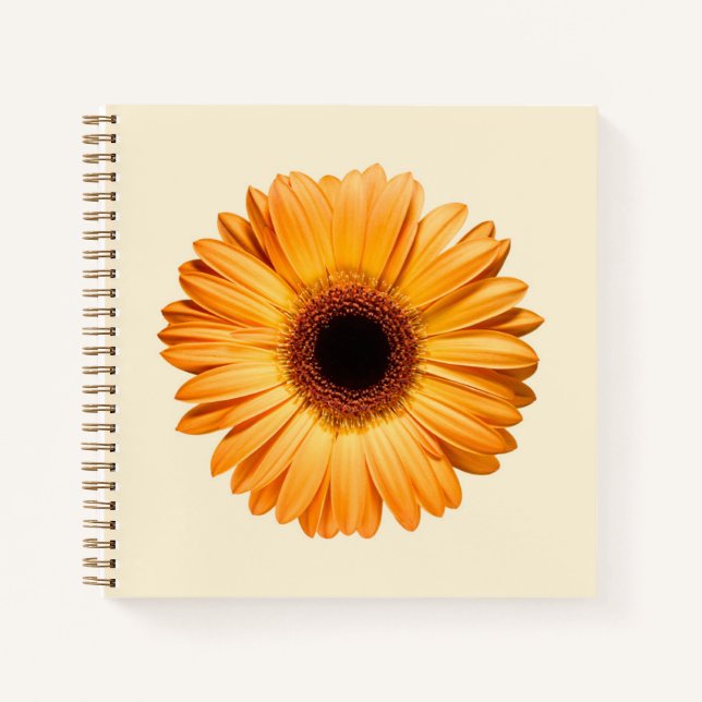 Flowers | Orange Gerbera Notebook (Front)
