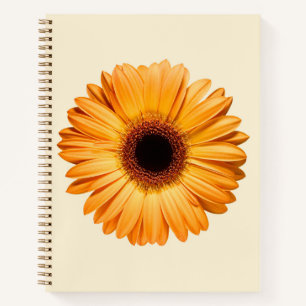 Flowers Orange Gerbera Notebook