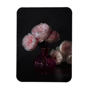 Flowers Pale Pink Peonies in Vase Magnet
