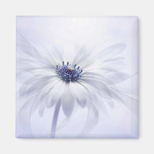 Flowers Pale Purple Flower Magnet