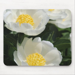 Flowers, Peonies Mouse Pad