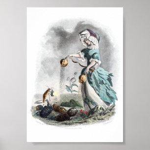 Flowers Personified -Poppy Poster