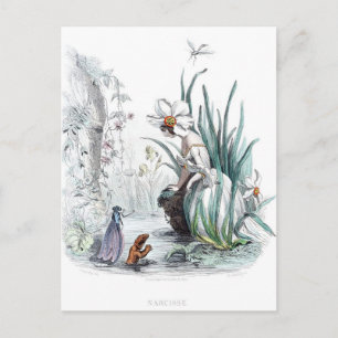 Flowers Personified Postcard