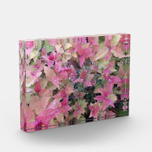 Flowers photo block (Left)