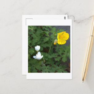  Flowers Photo Postcard