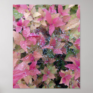 Flowers photo poster