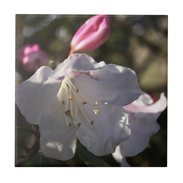 Flowers Photo Tile  (Front)