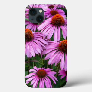 Flowers   Pink Coneflower Garden iPhone 13 Case