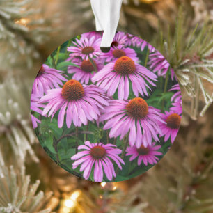 Flowers   Pink Coneflower Garden Ornament