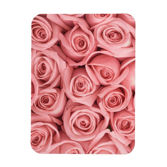 Flowers | Pink Roses Magnet (Vertical)