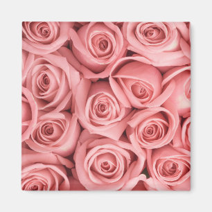 Flowers   Pink Roses Magnet