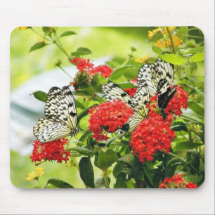 Flowers Plants Butterfly Butterflies Mouse Pad