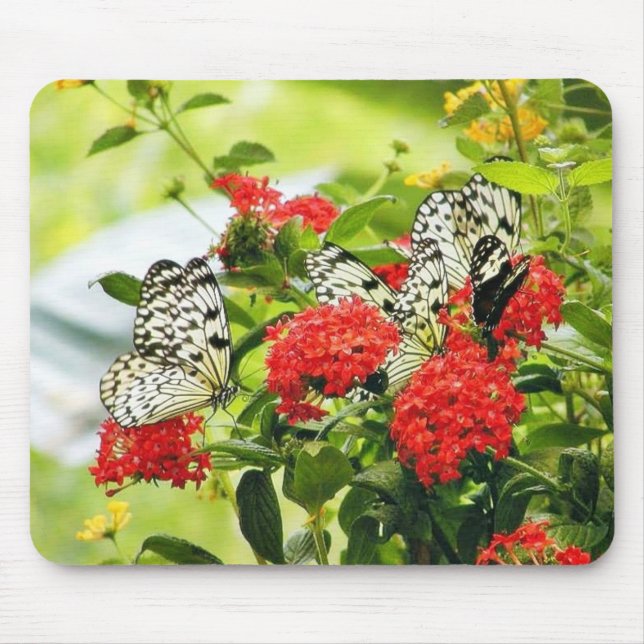 Flowers Plants Butterfly Butterflies Mouse Pad (Front)