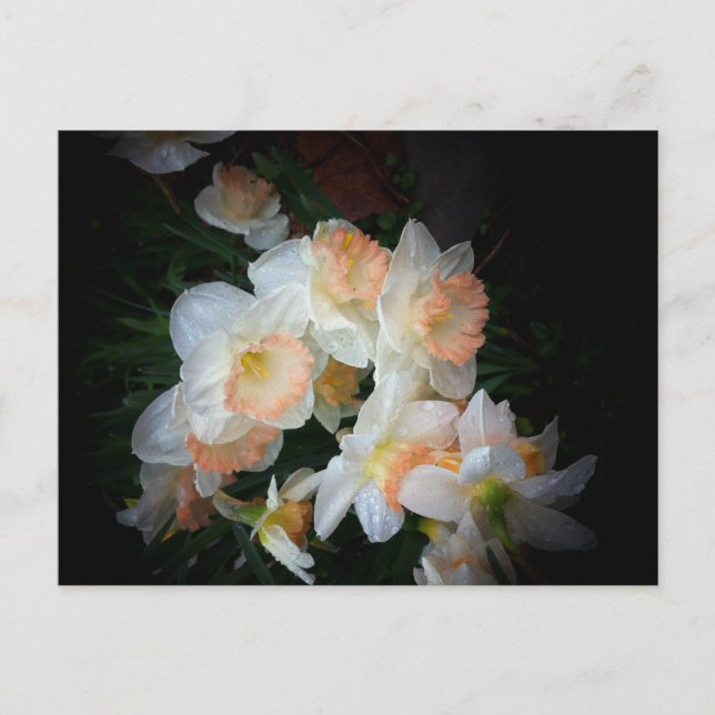 flowers postcard (Front)