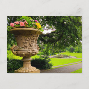 Flowers Postcard