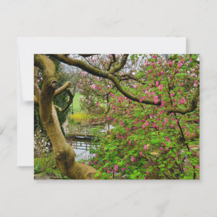 Flowers Postcard