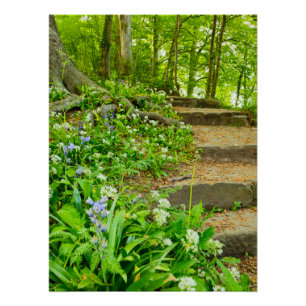Flowers Poster