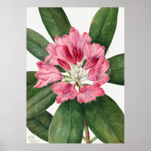 Flowers Poster
