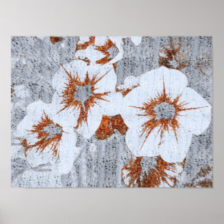 Flowers poster